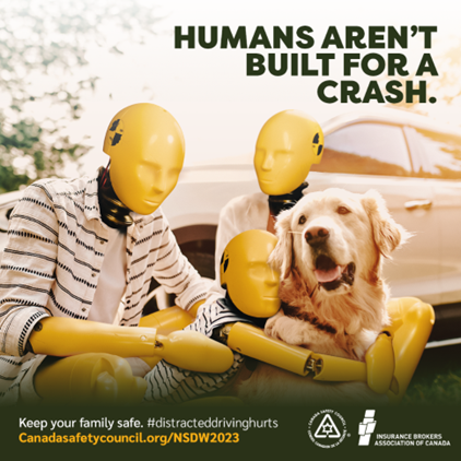 Three crash test dummy figures sit beside a golden retriever in front of a car. The text reads, "Humans aren't built for a crash." A safety message and website link are at the bottom.