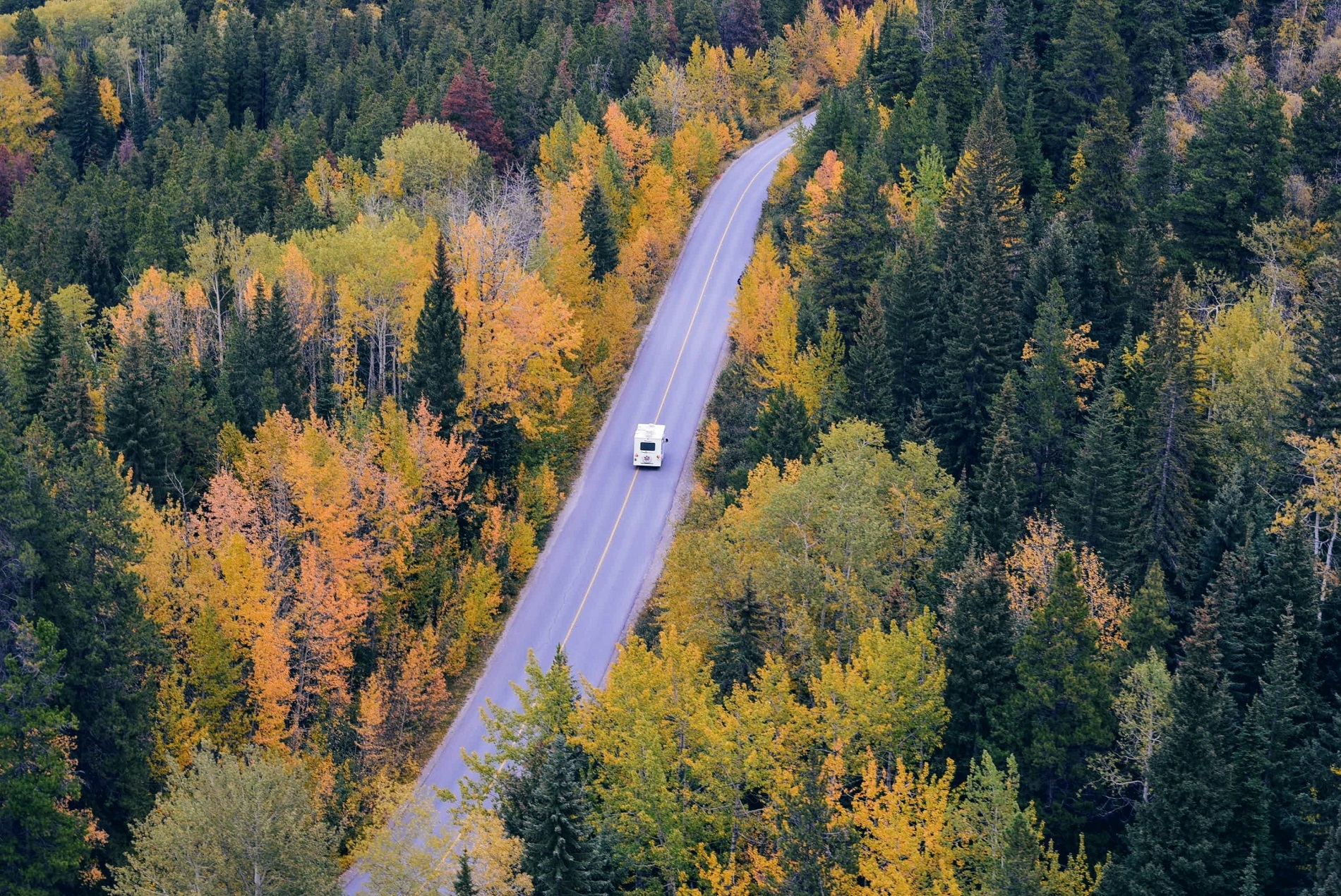 A white RV drives along a winding road surrounded by a dense forest of trees in vibrant fall colors, including shades of yellow, orange, and green. The scene is viewed from above, capturing the scenic autumn landscape. A white RV drives along a winding road surrounded by a dense forest of trees in vibrant fall colors, including shades of yellow, orange, and green. The scene is viewed from above, capturing the scenic autumn landscape.