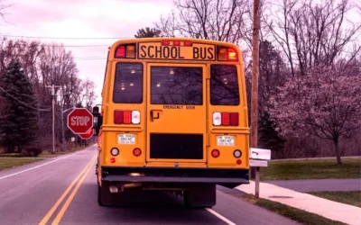 School Bus Safety