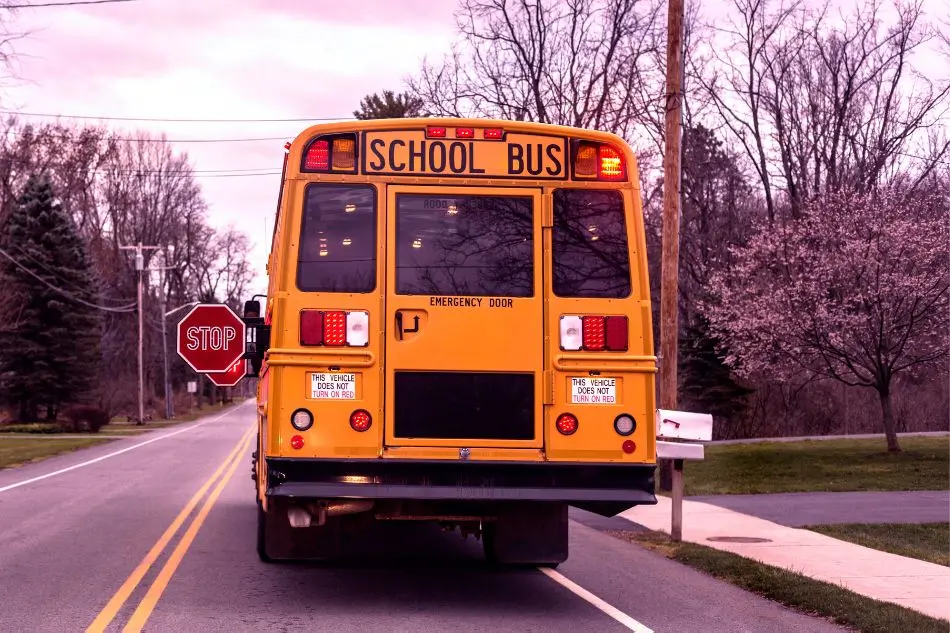 A yellow school bus is stopped on a suburban road, with its stop sign extended and red lights flashing. The road is lined with trees and there's a pink blossoming tree to the right. The sky is overcast, casting a soft light.