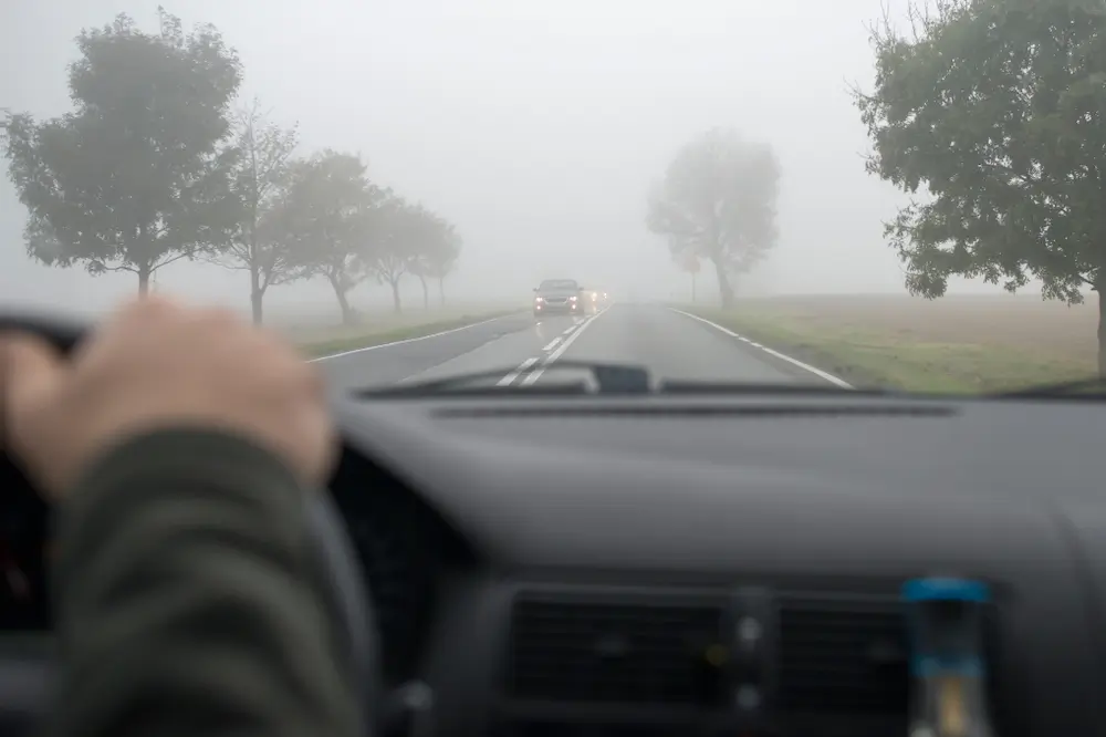 A driver's hand grips the steering wheel as a car approaches with low beams in fog. Dense mist cloaks the road, with trees lining each side, partially obscured.