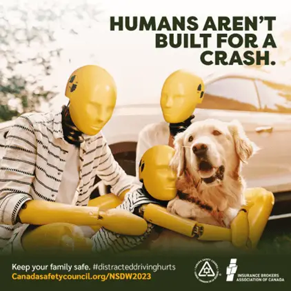 Three yellow crash test dummies and a golden retriever dog sit together on a curb by a parked car. The text above reads, "Humans aren’t built for a crash." Safety and website info appears below.