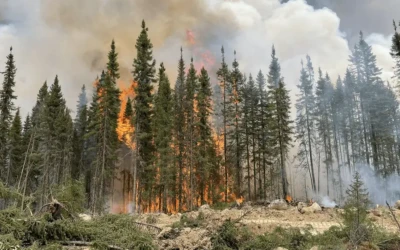 Canada’s Climate Change Solution